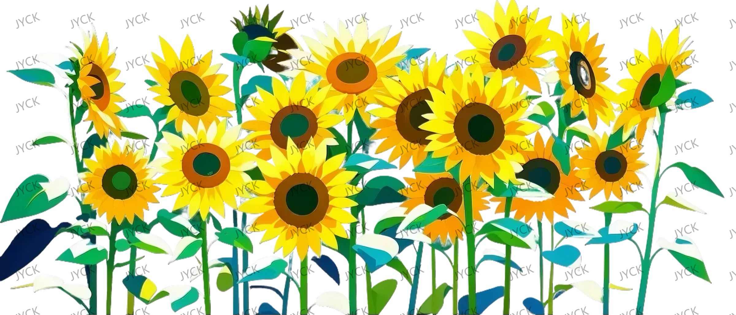 Y29211